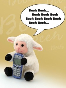 sheep phone